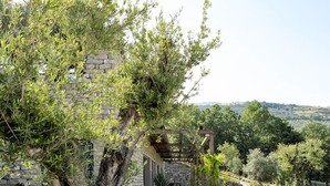 Un camino de piedra conduce a una pérgola de madera con un muro de piedra de fondo, rodeado de follaje y vistas a un campo cubierto de césped.