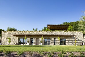 Exterior - Villa with panoramic pool in Assisi (Assisi)