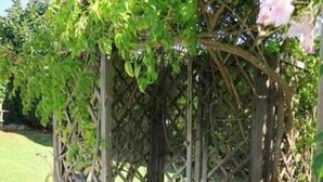 Eine Holzhütte mit Kletterpflanzen und einem gefliesten Eingang.