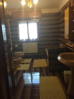 Combined shower/bathtub, hair dryer, bidet, towels