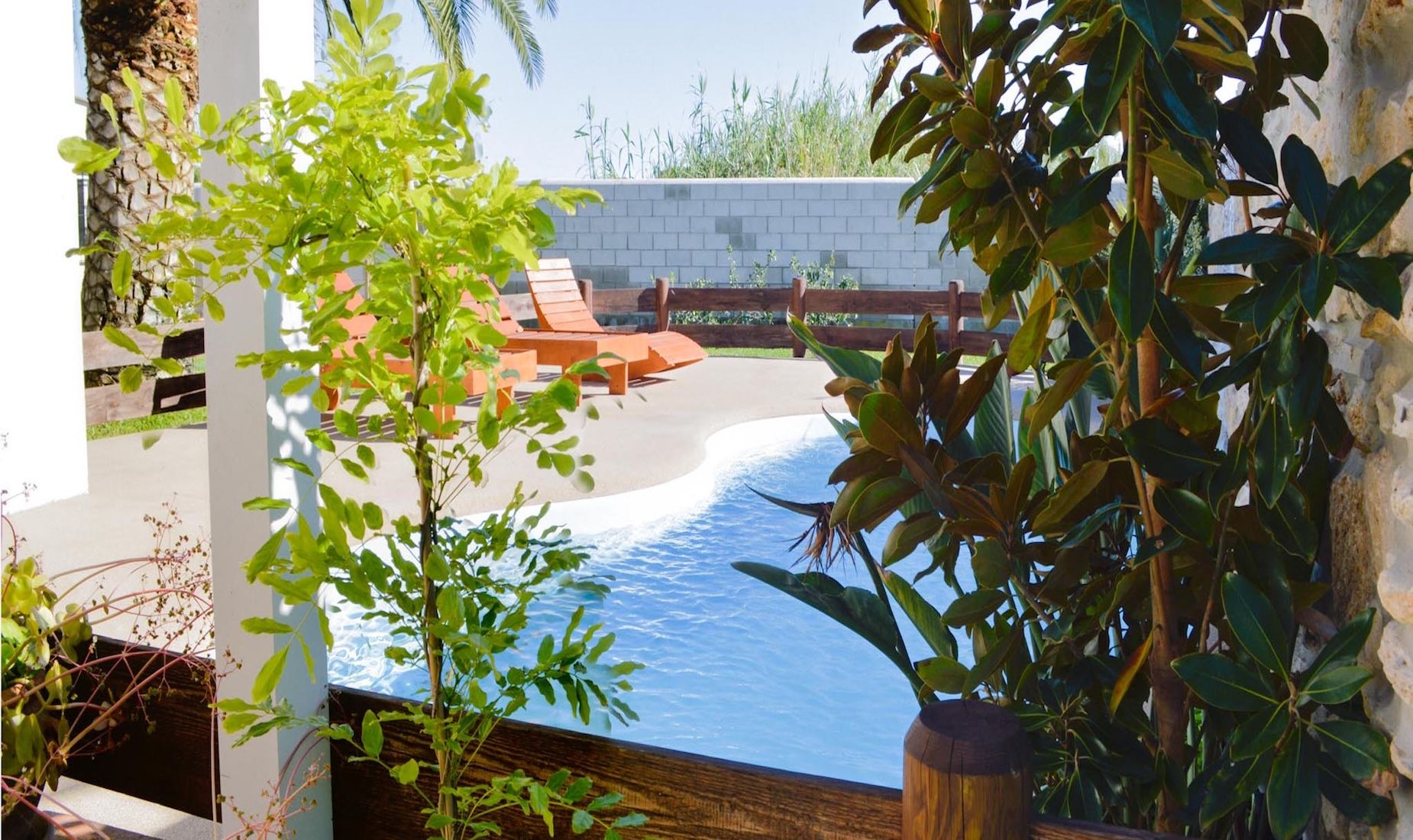 A swimming pool with a wooden deck and lounge chairs, surrounded by greenery and a white wall.