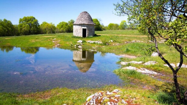 A stone building with a conical roof near a clear pond, surrounded by greenery and trees.