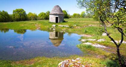 Escapade au bord de la piscine en Dordogne