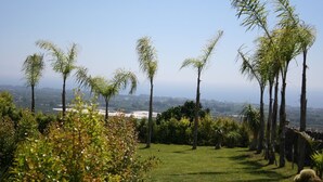 Ein angelegter Garten mit Palmen und einer Rasenfläche, mit Blick auf eine entfernte Landschaft.