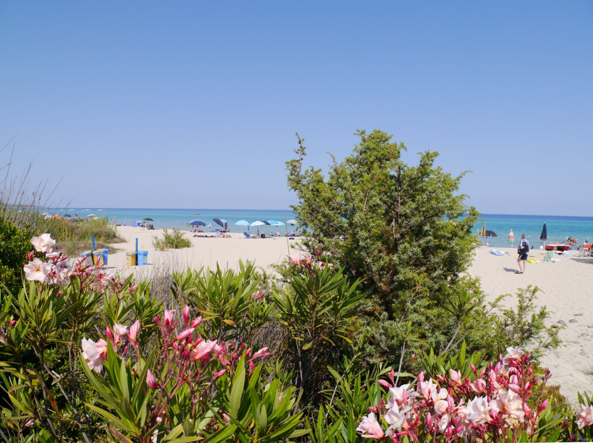 On the beach, sun loungers, beach towels