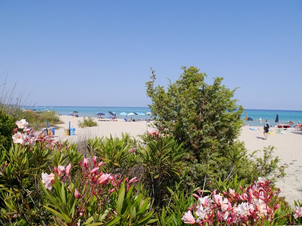 Rannalla, aurinkotuoleja, rantapyyhkeitä