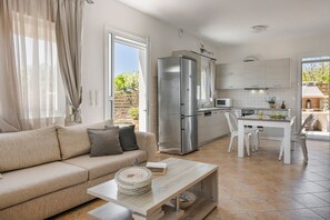 TV, fireplace, books