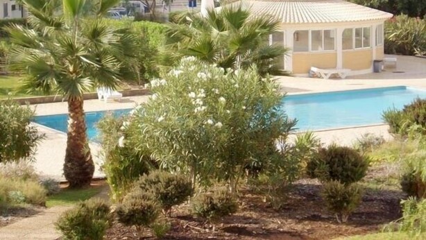 Una piscina envoltada de palmeres i arbustos, amb una zona de seients coberta a prop.