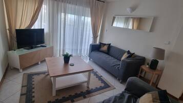 智能电视、DVD 播放器、立体声音响