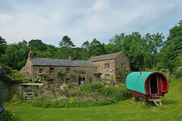 Welcome to Ravenbridge Mill, an idyllic house and extensive grounds.