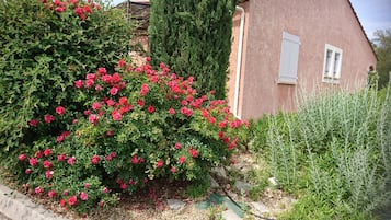 DĂ©tail de lâextĂ©rieur