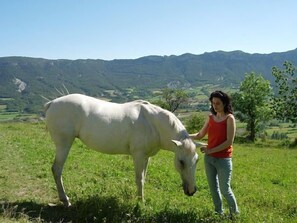Jardines del alojamiento