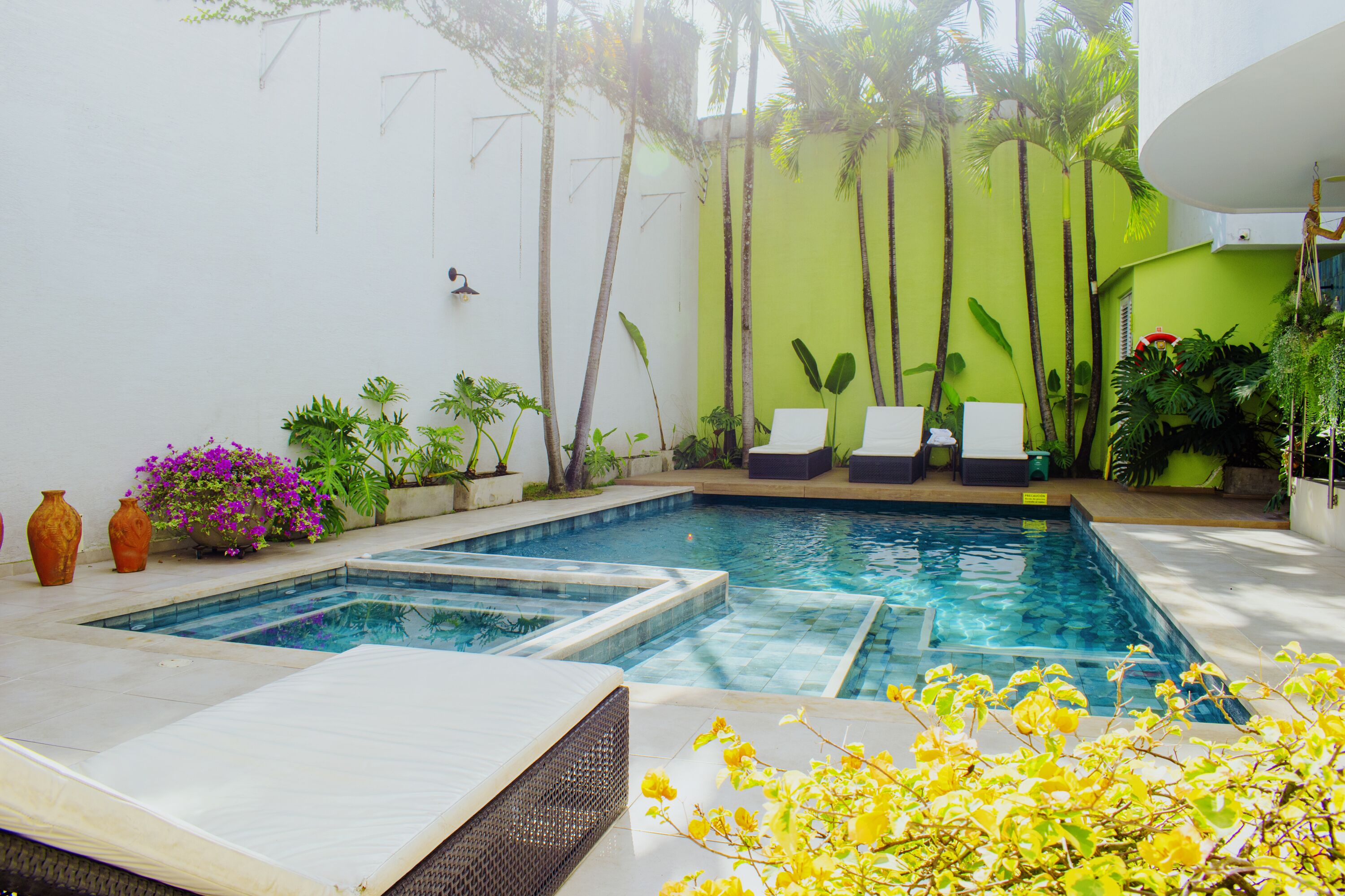 Une piscine divisée en deux zones distinctes, entourée de plantes et d’un mur végétal.