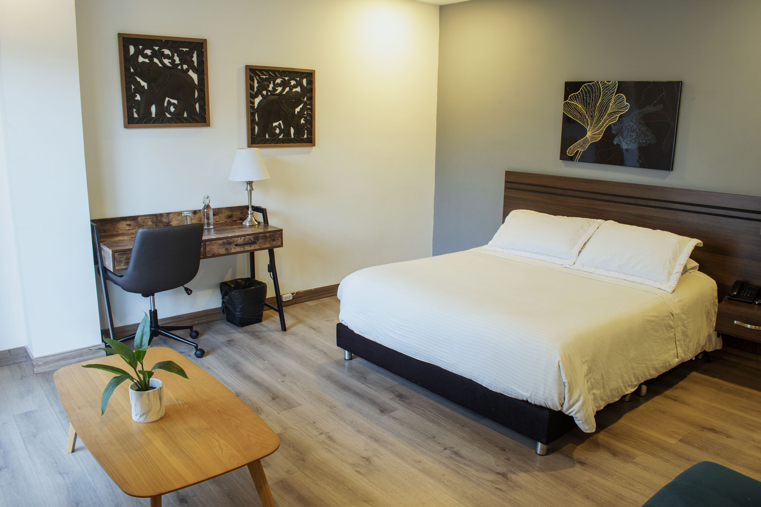 A hotel room with a bed, desk, chair, and a potted plant.
