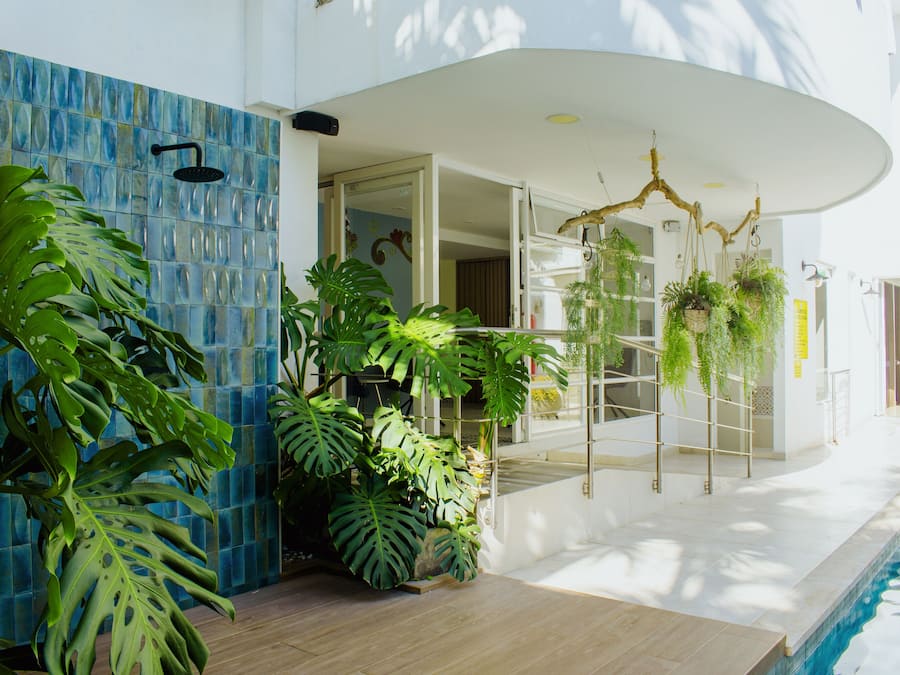 Outdoor pool, open 8:00 AM to 7:00 PM, pool loungers