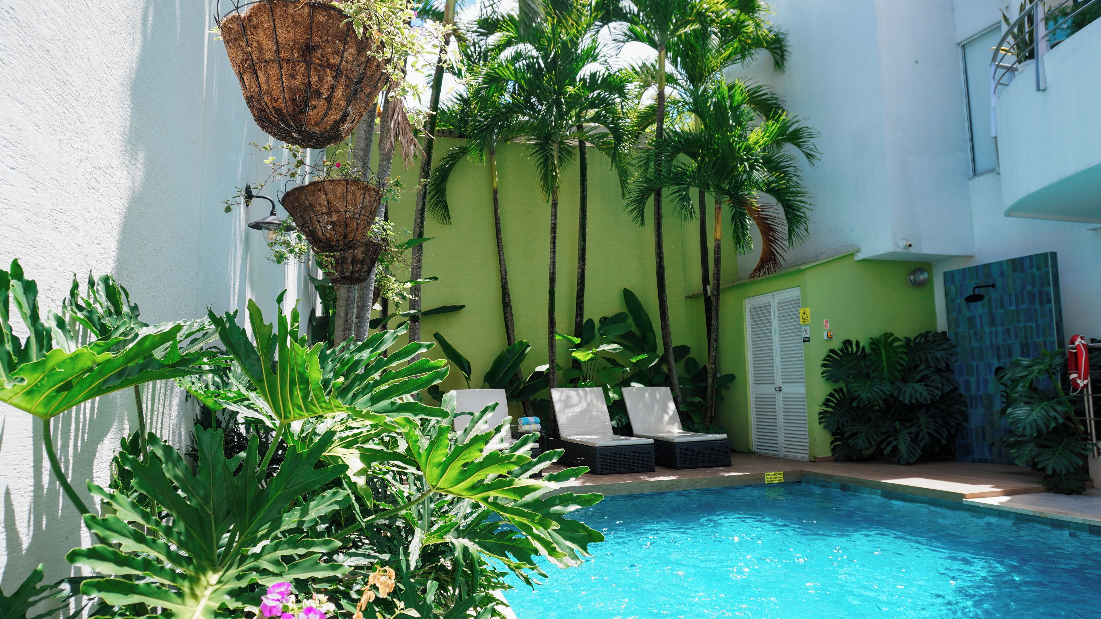 Foto - Malik Hotel Boutique