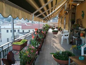 Un balcón con plantas en macetas, una mesa y sillas.