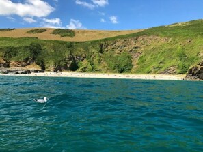 Beach - A beautiful luxury apartment 2.5 miles from Fowey - Dog friendly. (Par)