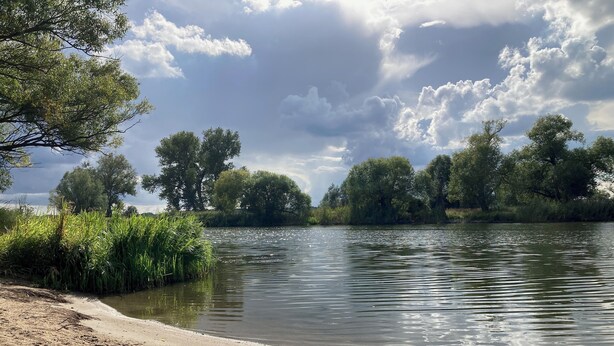 Une rive de rivière avec une plage de sable, une végétation luxuriante et des arbres en arrière-plan.