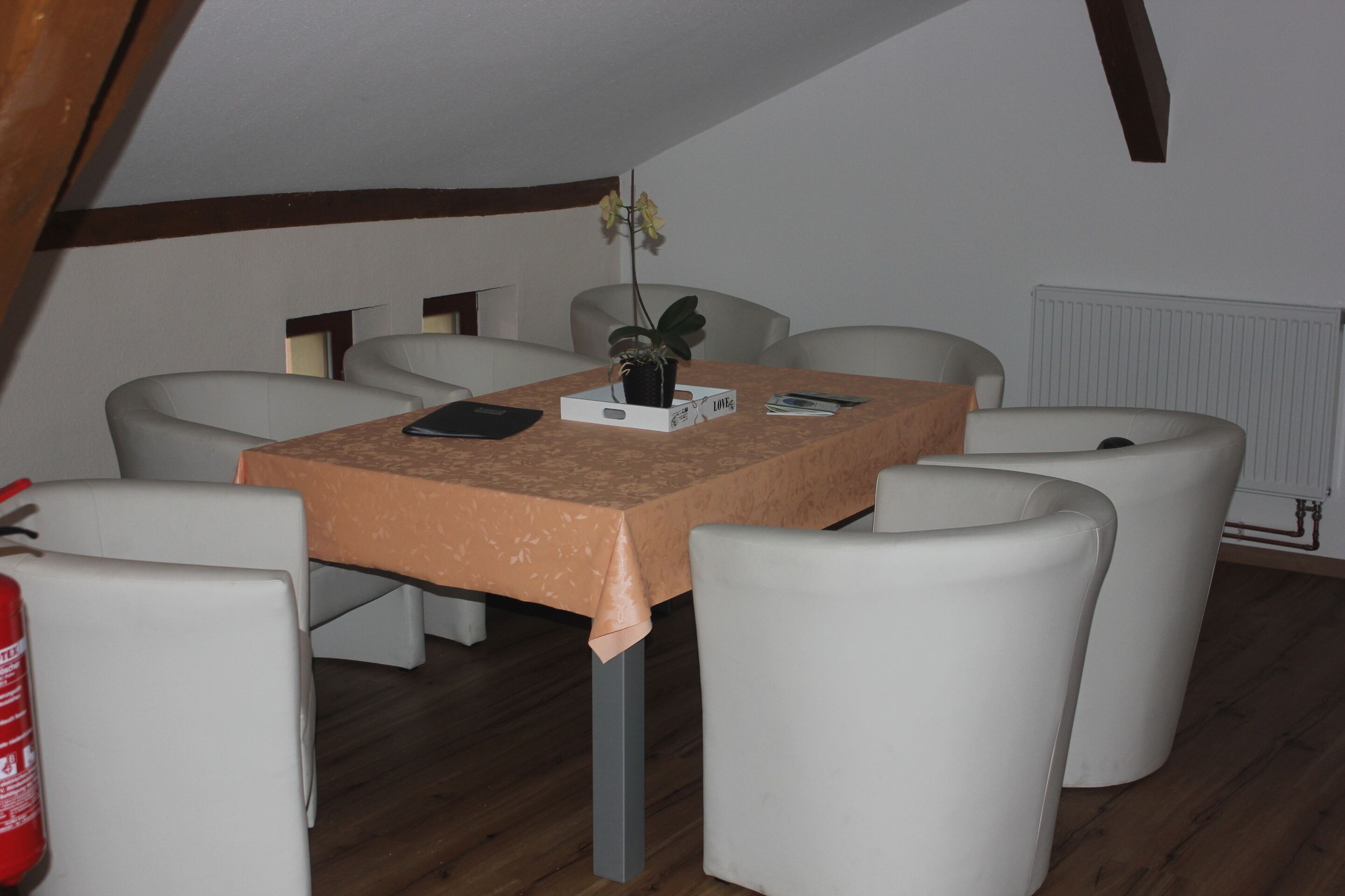 Un espace repas comprenant une table, des chaises, une plante et un extincteur.