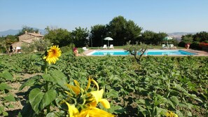 Seasonal outdoor pool