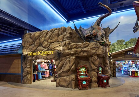 Great Wolf Lodge Arizona - Image 31
