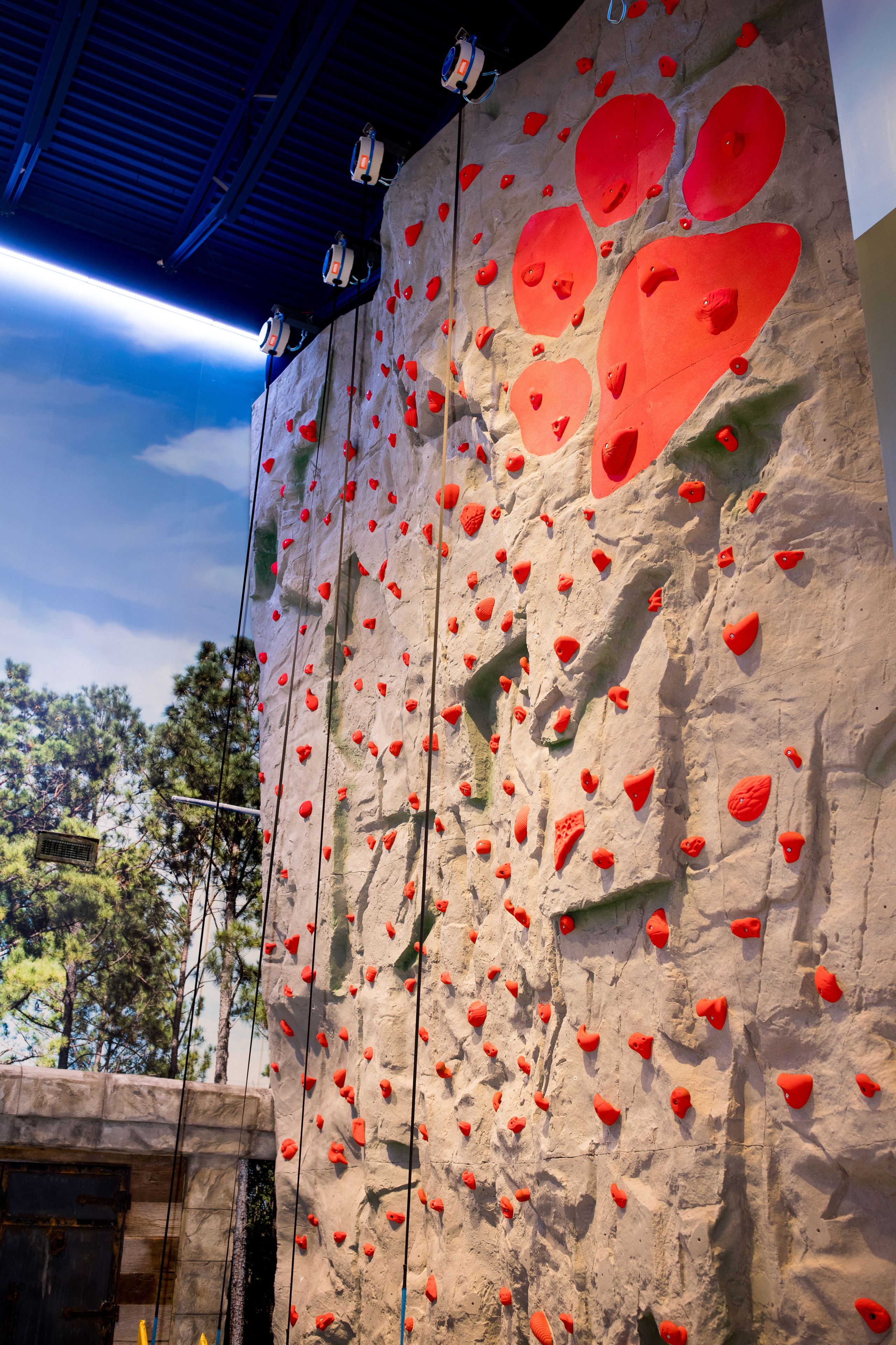 rock climbing wall – indoor