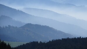 Eine Landschaft mit übereinanderliegenden Hügeln und dichten Wäldern am Fuße.