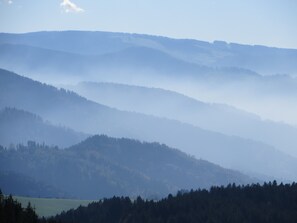 Un paisaje de colinas escalonadas con densos bosques en la base.