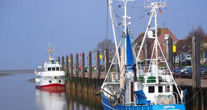 Ehemaliges Bauernhaus, am Deich in einsamer,ursprünglicher Landschaft gelegen