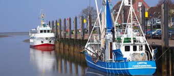 Tidligere bondegård, der ligger på diget i isolation, oprindelige landskab