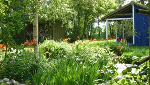 A garden with a variety of flowers and a wooden structure. - 305WHAYA: 3  BR, 2  BA House in Tampa, Sleeps 6 (Butjadingen)