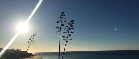 Playa