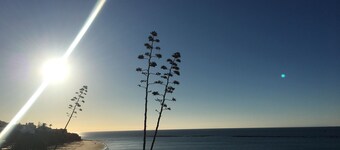 Luxe au coeur de la vieille ville avec une grande terrasse et vue sur la mer vers l'Afrique