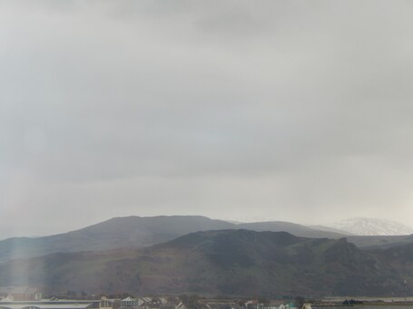 The Oasis - Image 34