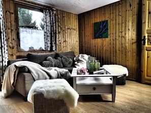 TV, fireplace, books - Vacation cottage Eddy (Harzgerode)