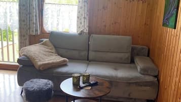 TV, caminetto, libri