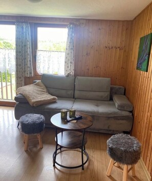 تلفزيون، مدفأة، كُتُب