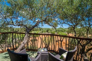 Property grounds - Finca Sa Canova d'Ariany with pool Mallorca (Ariany)