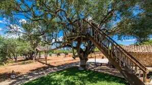 Un árbol con una escalera de madera que lleva a una plataforma.