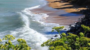 Plage à proximité, chaises longues, serviettes de plage