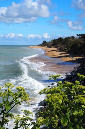 Plage à proximité, chaises longues, serviettes de plage
