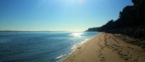 Beach nearby, sun loungers, beach towels