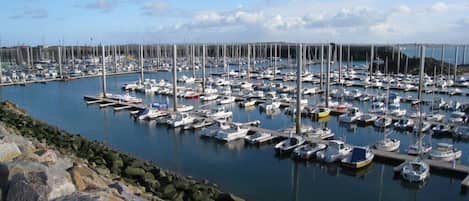 Marina