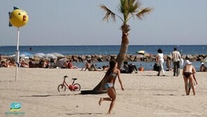 A beach scene with people, a palm tree, and a red bicycle. - Studio, 4px, great view of the marina, 66750 St Cyprien beach. 250 € week (Saint-Cyprien)