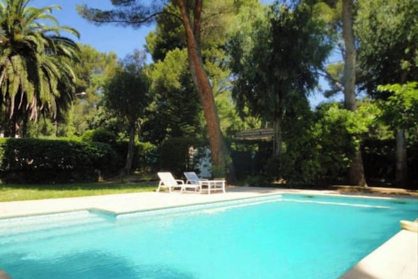 Sehr schöner Pool umgeben von Pinien