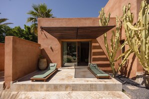 A modern outdoor seating area with a pergola, a cactus, and a palm tree.