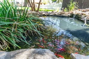 A pond with koi fish, surrounded by rocks and plants.