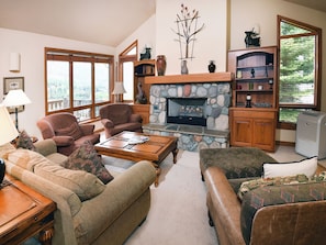 TV, fireplace