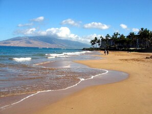 Plage à proximité, chaises longues, serviettes de plage